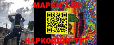 apvp Бийск