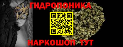 apvp Бийск