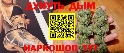 apvp Бийск