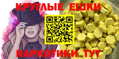 apvp Бийск
