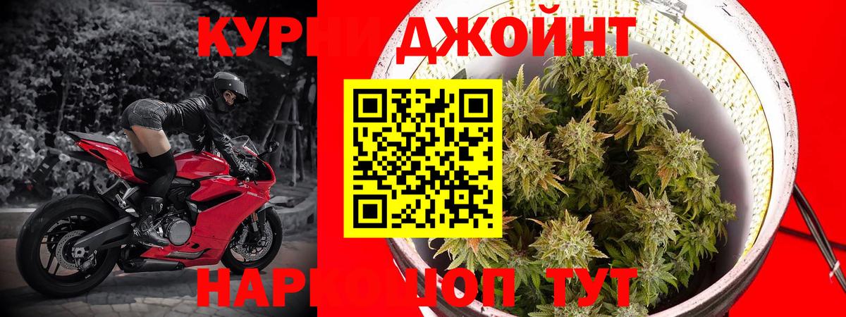 Каменск-Уральский  Шишки марихуана Amnesia  Вход с VPN  Канабис OG Kush  Шишки марихуана конопля  Бошки марихуана VHQ 
